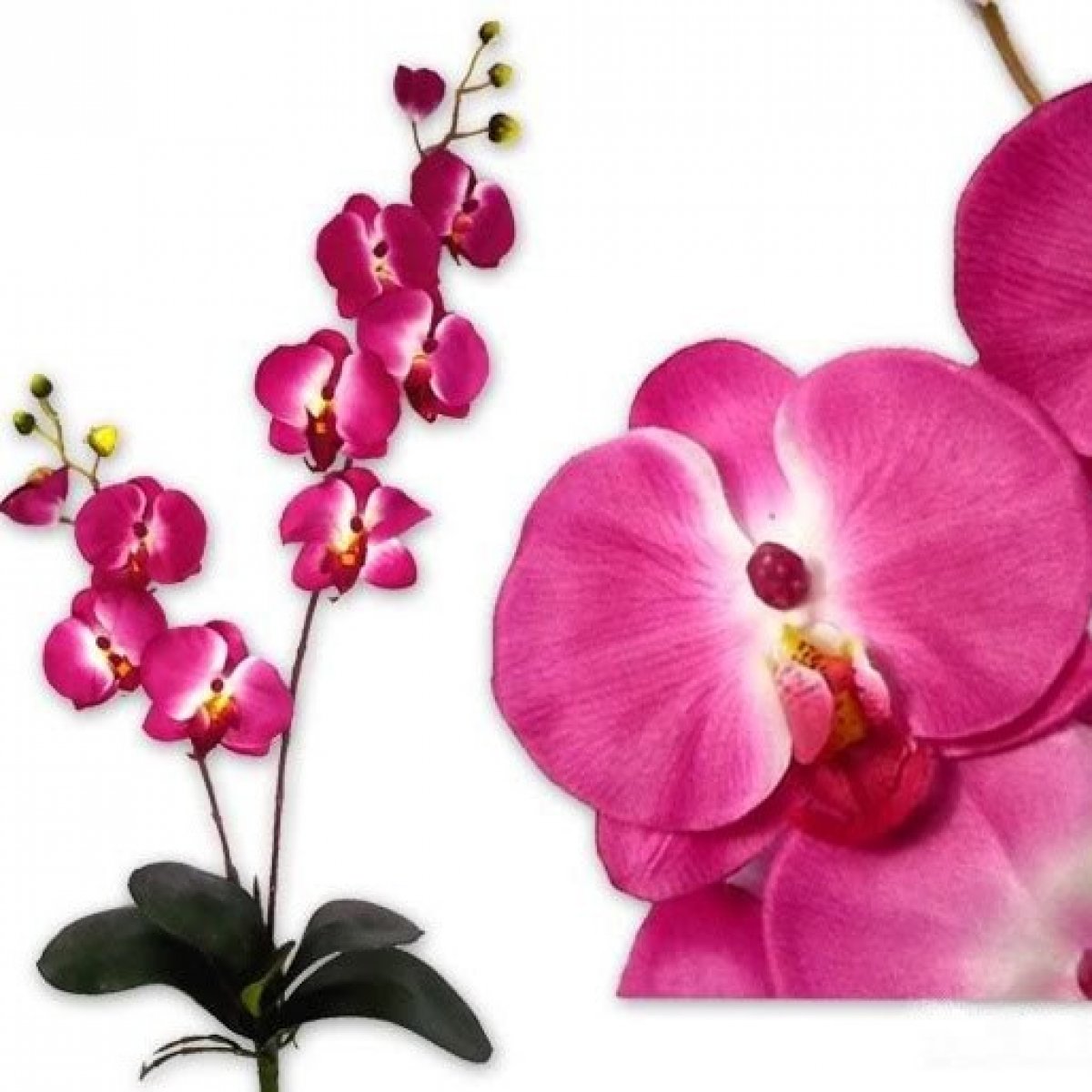 Orchidée artificielle rose fuchsia - 2 branches 