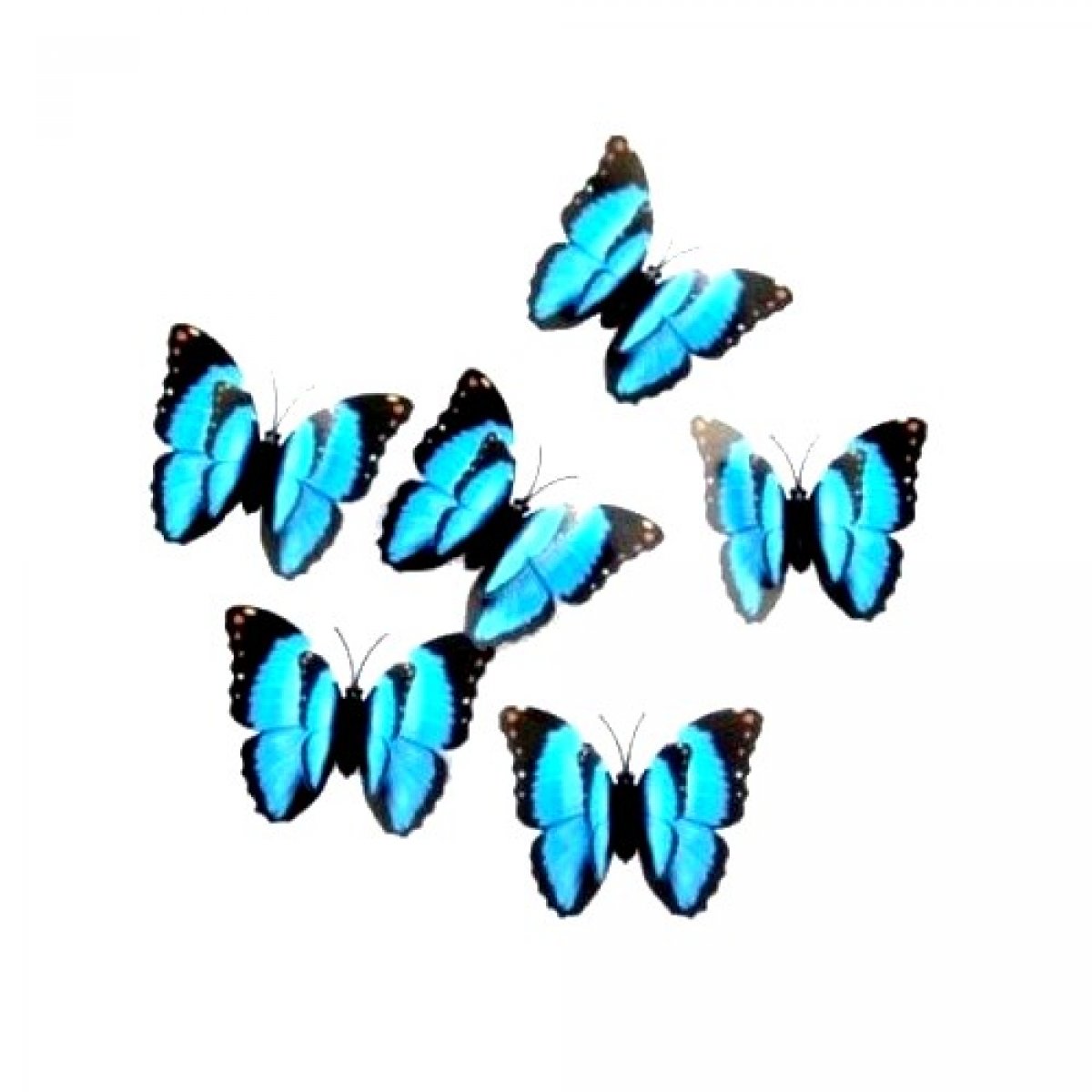 5 Papillons en format 3D de couleur bleu avec aimant