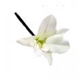 6 pinces à cheveux orchidée blanche imitation soie