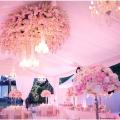 Tenture de salle de mariage rose 80 x 100 mètres 