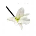 Epingle cheveux Orchidée blanche x 6