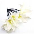 Epingle cheveux Orchidée blanche x 6