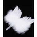  Aile d'ange plumes blanches 