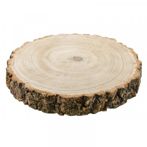 Grand rondin de bois naturel ø 24 - 28 cm - Epaissseur 4 cm