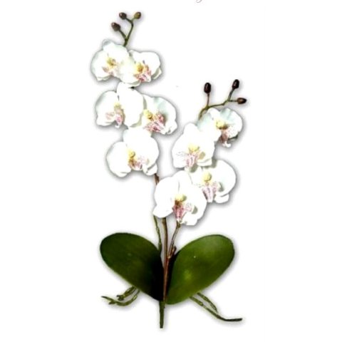 Orchidées artificielles fleurs blanche 2 branches sur tige