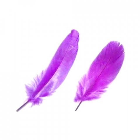 Plume décorative violette 10 à 14 cm x 12 pièces